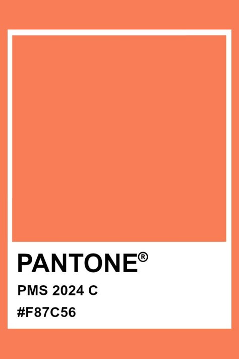 Pantone PMS 2024 #pantone #color Pantone 2024 Apricot Crush, Color Of 2024 Pantone, Apricot Crush Aesthetic, Pantone Colour 2024, Pantone Trend Colors 2024, Color Fashion 2024, Apricot Crush Color Palette, 2024 Pantone Color Trends, Apricot Crush Pantone 2024