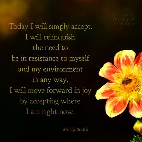 Melody Beattie Melody Quotes, Jade Sweet Melody, Melody Beattie, Journey To The Heart By Melody Beattie, Dissonant Melody, Melody Beattie Quotes Letting Go, Radical Acceptance, Thought For Today, Gratitude Affirmations