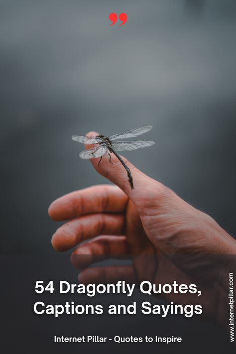 54 Dragonfly Quotes Dragon Fly Quotes Inspiration, Dragonfly Quotes Strength, Dragonfly Quotes Angels, Quotes About Dragonflies, Dragonfly Sayings Quotes, Dragonfly Quotes Inspiration Sayings, Dragonfly Quotes Inspiration, Dragonfly Sayings, Dragonfly Poem