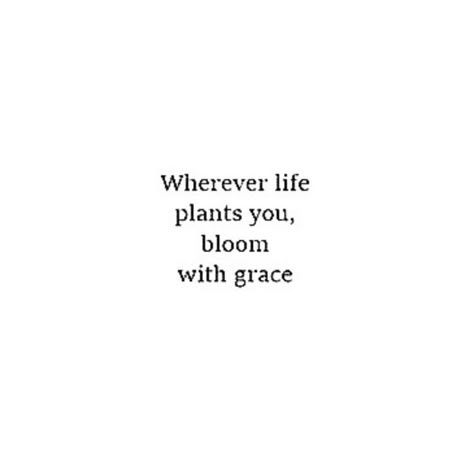 Grow Where Youre Planted Quote, Plant Growing Quotes Life, Bloom Where God Plants You, Plant Quotes Life Inspiration Thoughts, Grow Where You Are Planted, Bloom Where You Are Planted Quote, Plants Quotes Life Inspiration, Greenery Photoshoot, Planting Seeds Quotes