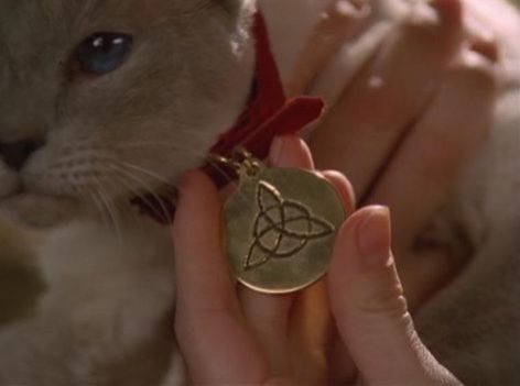 Charmed Kit The Cat, Charmed Aesthetic Tv Show, Charmed Aesthetic, Blue Point Siamese, Fall Tv Shows, Charmed 1998, Charmed Tv Show, Characters Aesthetic, Charmed Tv