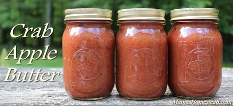 Crab Apple Butter Crabapple Butter, Crab Apple Butter, Crab Apple Recipes, Crab Apple Jelly, Fall Desserts Apple, Apple Butter Recipe, Apple Jelly, Foraging Recipes, Fall Desserts Easy