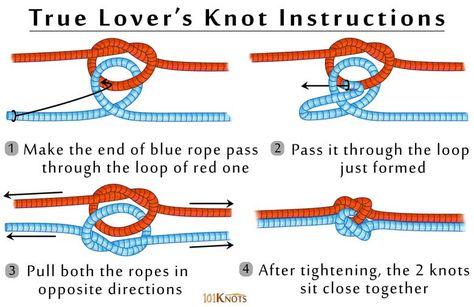 Tie a true lovers knot, step by step instruction with pictures. True Lovers Knot, Indian Love, Lovers Knot, Love Knots, Knot Decor, Survival Knots, Love Affection, Decorative Knots, Knot Tattoo