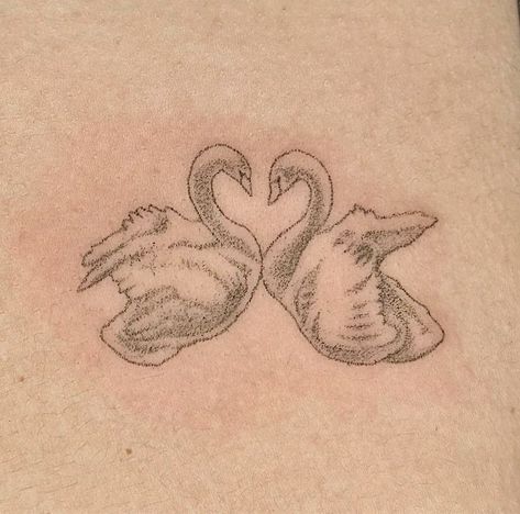 Mini Swan Tattoo, Tattoo Swan, Honeymoon Tattoo, 2 Swans Tattoo, The Swan Princess Tattoo, Two Swans Tattoo, Swans Kissing Tattoo, Swan Couple Tattoo, Swan Heart Tattoo