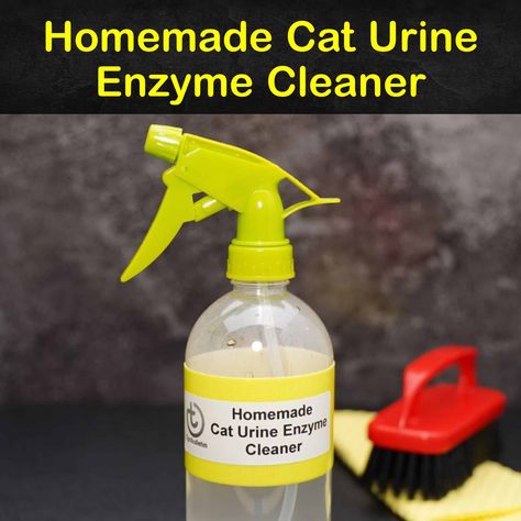 7+ Easy Homemade Enzyme Cleaners for Cat Urine Dog Urine Odor Remover, Dog Deterrent Spray, Dog Urine Remover, Cleaning Cat Urine, Dog Repellent Spray, Cleaning Pet Urine, Repellent Diy, Dog Deterrent, Urine Remover