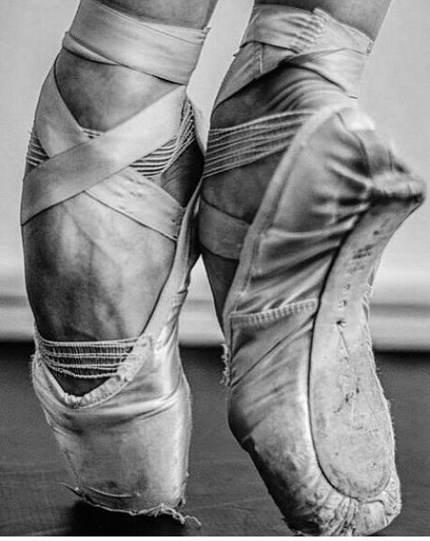 Hard work is beautiful Vanda Scaravelli, Ballet Pictures, Ballet Beauty, Ballet Poses, Ballet Inspiration, Ballet Art, Ballet Photos, Ballet Photography, En Pointe