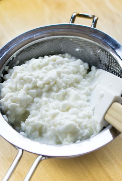 Homemade cottage cheese Make Cottage Cheese, Homemade Cottage Cheese, Cheese Recipes Homemade, Cheese Making Recipes, Cheese At Home, Goat Milk Recipes, Dear Dairy, David Lebovitz, Milk Products