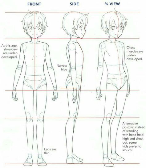 Boy Body, Drawing Anime Bodies, How To Draw Anime, Body Tutorial, Drawing Body Poses, Anatomy Tutorial, Body Drawing Tutorial, Body Sketches, Character Model Sheet