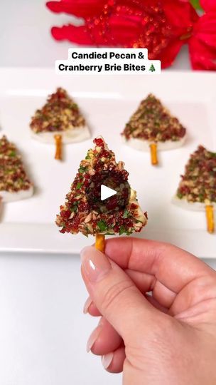 1.6M views · 15K reactions | Festive Brie Bites🎄 Source: Chef genevieve lamonaca Candied Pecan & Cranberry Brie Bites Makes 12 Ingredients: 8oz Brie wheel 1/4 cup honey 12 pretzel sticks 1/3 cup candied pecans 1/3 cup dried cranberries 1/2 cup parsley Cut brie wheel into 6 sections then slice the sections through the middle. Finely chop candied pecans, cranberries and parsley together. Cut pretzels in half then push up into the bottom of your brie ‘Christmas tree’ sections. Dip flat side into honey then into the pecan/cranberry mixture. | At Home Chef | John Williams · Somewhere in My Memory from Home Alone Christmas Movie (Chorus & Orchestra Version) Festive Brie Bites, Candied Brie Bites, Candied Pecan & Cranberry Brie Bites, Candied Pecan Brie Bites, Candied Pecan And Brie Bites, Mini Brie Christmas Trees, Candied Pecan And Cranberry Brie Bites, Camembert Christmas Tree, Brie Christmas Tree Appetizer