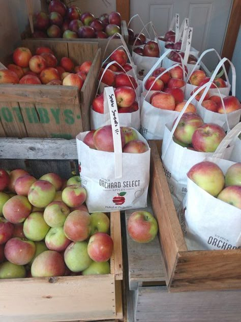 Boothby's Farm Market & Orchard Hygge September, Fresh Produce Packaging, Farm Market Ideas, Fancy Farm, Farmers Market Stand, Country Market, Fall Market, Local Milk, Market Stands