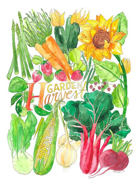 Garden Illustration, Garden Harvest, Art Walk, Ink Illustration, Etsy Art Prints, Pen And Watercolor, Etsy Art, Ink Illustrations, Watercolor Art Prints