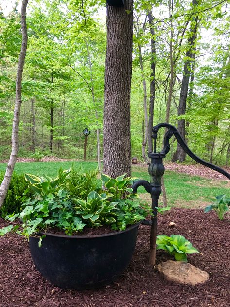 Cast Iron Flower Pot Ideas, Cast Iron Cauldron Ideas, Old Pond Fill In Ideas, Cast Iron Kettle Planter Ideas, Cauldron Planter Ideas, Antique Water Pump Ideas, Landscaping With Antiques, Vintage Water Pump Ideas, Cast Iron Kettle Decorating Ideas