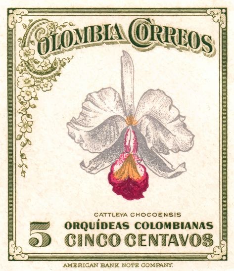 Colombian Orchid, Vintage Colombia, Orchid Cattleya, Cattleya Orchid, Stamp Postage, Retro Graphics, Vintage Postage, Vintage Graphic Design, Post Stamp