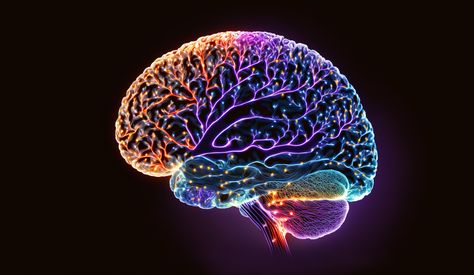 Rehabilitation Through Stimulation: Exploring Noninvasive Brain Stimulation for Substance Use Disorders @psychiatrictimes @TheBrainDriver #substanceabuse #addiction #tDCS #BrainStimulation https://www.psychiatrictimes.com/view/rehabilitation-through-stimulation-exploring-noninvasive-brain-stimulation-for-substance-use-disorders Brain Imaging, Ocd Symptoms, Signal Transduction, Brain Size, Brain Energy, Brain Images, Pet Scan, Sensory Motor, Brain Stimulation