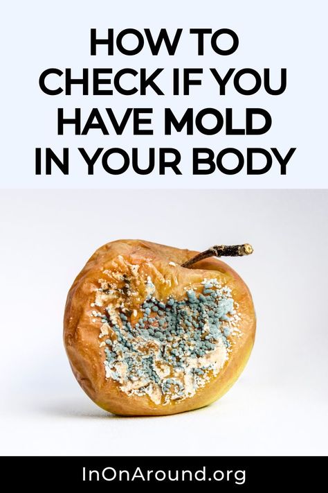 Not sure if you've been exposed mold? Want to check? In this article, I will walk you through what a MycoTOX Profile Test is, if it's worth it, and how to order one to get a clear picture of your health.    #moldinbathroom #sickfrommold Mold Toxicity Diet, Mold Detox Protocol, Mold Detox Diet, Mold Detoxing, Mold Diet, Healthy Gut Diet, Mold Toxicity, Mold Allergy, Bio Hacking