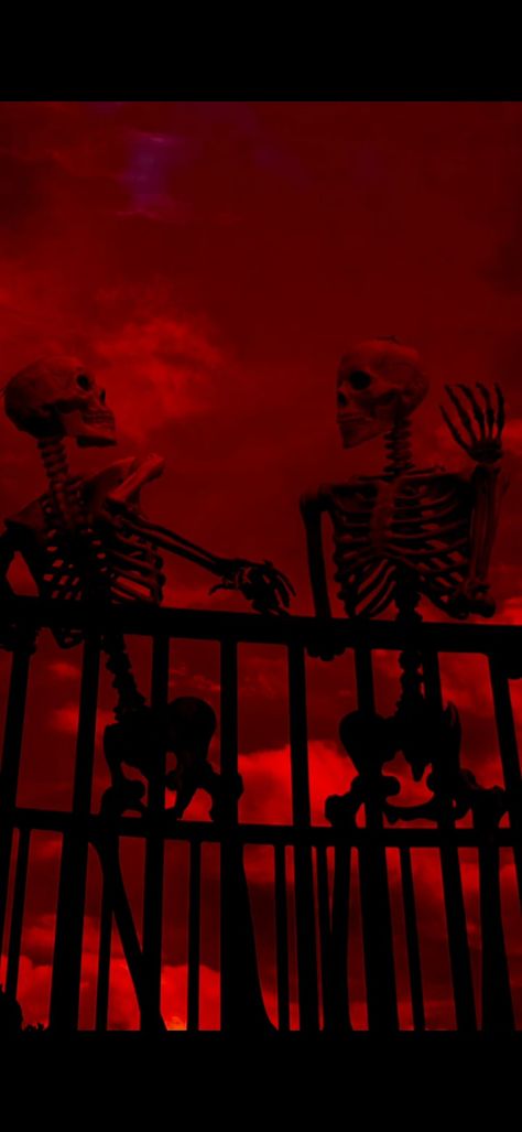 skeleton wallpapers red Red Halloween Aesthetic Wallpaper, Halloween Red Wallpaper, Skeleton Wallpapers, Skeletons Wallpaper, Cool Blue Wallpaper, Skeletons Wallpaper Aesthetic, Dark Red Background, Red And Black Wallpaper, Halloween Wallpaper Backgrounds