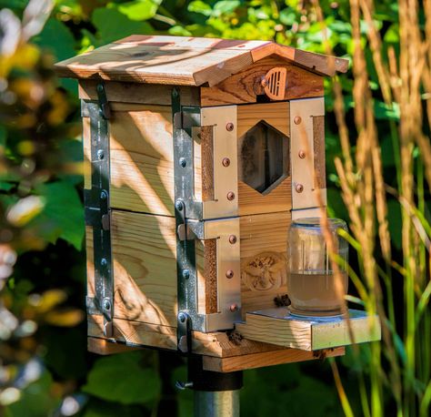 Bee Hives Diy, Urban Beekeeping, Backyard Ducks, Raising Bees, Brass Corners, Bee Boxes, September 1st, Bee Inspired, Wildlife Habitat