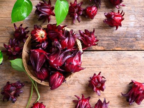 IStock /vichuda Los cuidados de la flor de jamaica no son para principiantes; sin embargo, siempre puedes intentar tenerla en casa. Quizá se te da y puedes cultivar y cosechar flores de jamaica en casa. Si tienes curiosidad y ganas de tener una planta de jamaica en casa, entonces toma nota de los consejos que te daré, serán de mucha utilidad. Si tienes algún comentario o quieres saber más acerca de mí, ¡sígueme en INSTAGRAM: @Pether.Pam! La jamaica es una flor deliciosa, en este video puedes enc Roselle Hibiscus, Shrub Recipe, Delicious Salad Dressings, Hibiscus Sabdariffa, Tropical Africa, Short Plants, Herbal Drinks, Growing Seeds, Organic Herbs