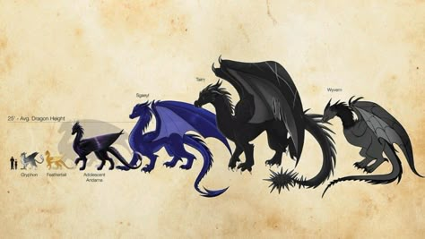 Andarnaurram Iron Flame, Xaden And Sgaeyl Fourth Wing, Fourth Wing Dragons Fanart, Iron Flame Dragons, Andarnaurram Iron Flame Fanart, Tairn Fourth Wing, Andarnaurram Fourth Wing, Forth Wings Fanart, Wing Character