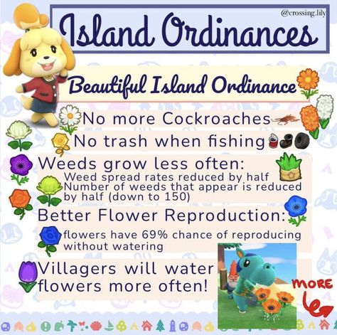 Island Ordinances guide ACNH Beautiful Island Ordinance Acnh Mystery Island, Mystery Island Acnh, Acnh Island Build Ideas List, 5 Star Island Requirements Acnh, Anch Island Names, Acnh Island Flag Ideas, Acnh Island Ordinances, Acnh Harvs Island, Funny Acnh Island Names