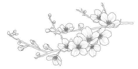 Tips for Creating Inspiring Illustrations of Cherry Blossoms Cherry Blossom Drawing, Sakura Branch, Branch Drawing, Backpiece Tattoo, Sakura Tattoo, Cherry Blossoms Illustration, Branch Tattoo, Flower Line Drawings, Flower Drawing Tutorials