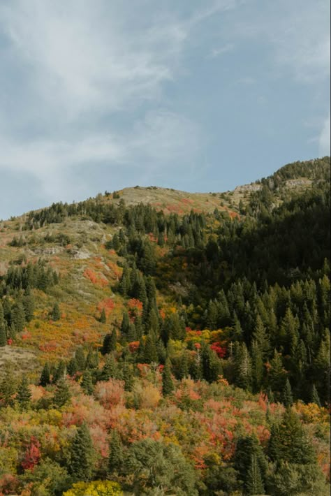 Aesthetic Fall Landscape, Photo Landscape Nature, Fall Travel Aesthetic, Colorado Fall Aesthetic, Fall Mountains Aesthetic, September Scenery, Fall Mountain Aesthetic, Aesthetic Random Pictures, Early Fall Aesthetic