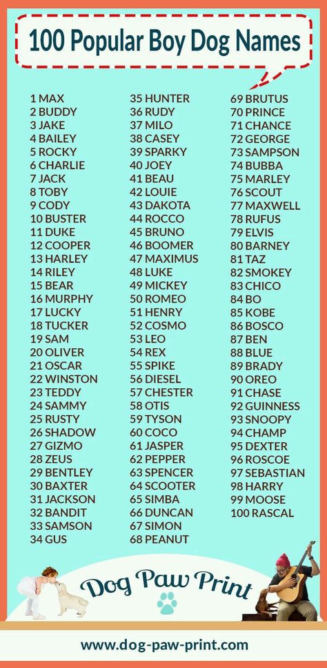 Cool Dog Names Boys, Dogs Names List, Baby Boy Name List, Boy Dog Names, Names For Boys List, Best Dog Names, Cute Names For Dogs, Names Boy, Puppy Names