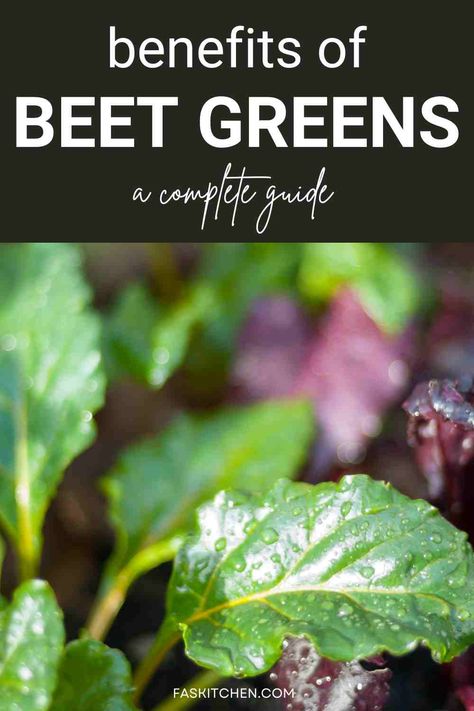 A Pinterest pin showcasing a variety of beet greens alongside informative text. Explore the nutritional benefits, versatile uses, and expert tips on buying and storing beet greens. Perfect for anyone looking to enhance their culinary repertoire and embrace a healthier lifestyle. #BeetGreens #NutritionGuide #HealthyLiving Beet Green Recipes, Organizing Your Pantry, Arizona Gardening, Kitchen Tricks, Sources Of Vitamin A, Beet Greens, Ultimate Kitchen, Creative Kitchen, Nutrition Guide