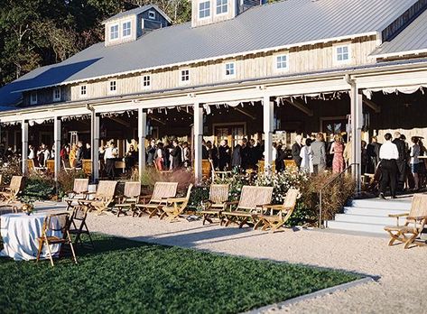 See What Makes Pippin Hill the Wedding Venue Gem of Virginia’s Wine Country Budget Wedding Venue, Expensive Wedding Gifts, Pippin Hill Wedding, Virginia Wine Country, Wedding Venues In Virginia, My Best Friends Wedding, Best Friends Wedding, Wedding Concept, Can We Talk