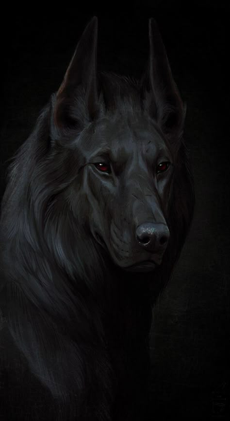 Dark Lion Art, Black Wolf, A Wolf, Wolf Art, Fruit Print, Arte Fantasy, Black Dog, Creature Art, Figure Drawing