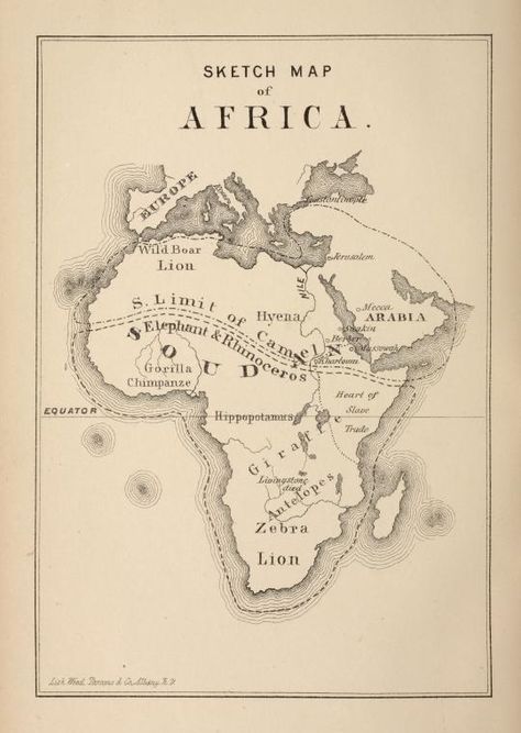 Africa Sketch, Bottle Sketch, Map Of Africa, Gin Bottle, October 5th, African Travel, Ancient Maps, Map Globe, Modern Map