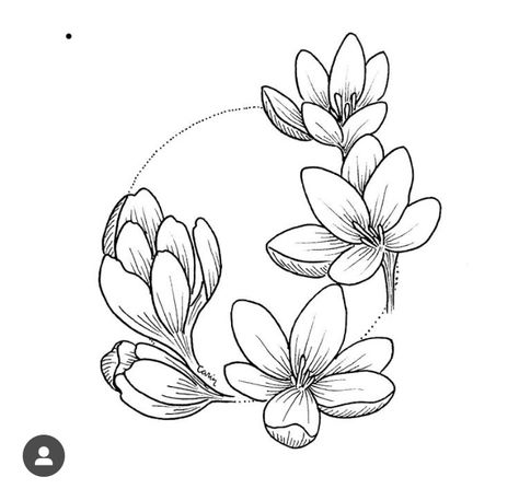 Kanikonna Flower Drawing, Crocus Flower Drawing, Crocus Flower Tattoo, Crocus Drawing, Crocus Tattoo, Watercolor References, Saffron Flower, Flower Branding, Crocus Flower