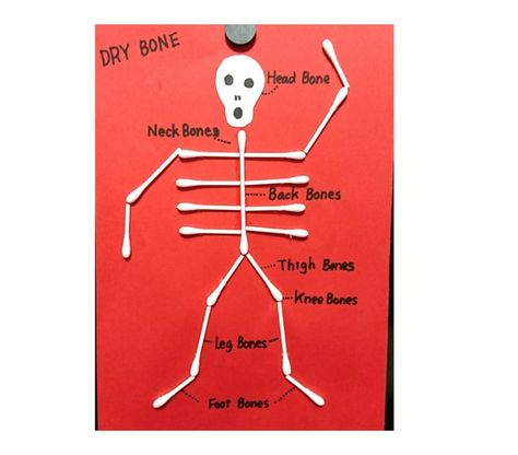 kids craft for the song'Dry Bones' Dem bones dem bones gonna, walk around♪ Bones Craft, Knee Bones, Leg Bones, Hip Bone, Dry Bones, Neck Bones, Sunday School Activities, Special Kids, School Activities