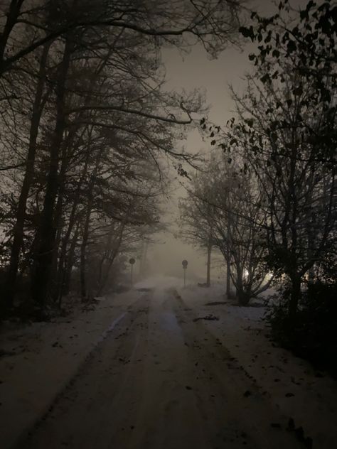 Snowing At Night Aesthetic, Rosemary Winters Aesthetic, Creepy Winter Aesthetic, Runaway Aesthetic Dark, Grunge Winter Aesthetic, Winter Grunge Aesthetic, Night Snow Aesthetic, Snowy Forest Aesthetic, Dark Snow Aesthetic