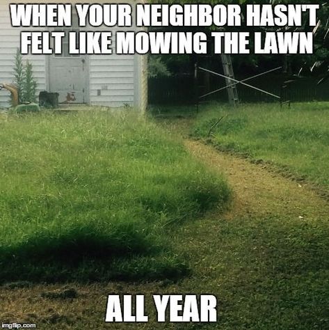 #funny #memes #meme #humor #lol #funnymemes #comedy #fun #viral #entertainment #crazy #fun Lawn Care Humor, Landscape Installation, Valley Green, Dream Landscape, Lawn Service, Landscape Maintenance, Professional Landscaping, Garden Services, Big Garden