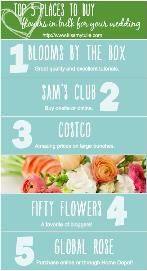 Top 5 Places to Buy Flowers in Bulk for your Wedding Wildflower Farm, Fifty Flowers, Wedding On A Budget, Wedding Info, Diy Wedding Flowers, Buy Flowers, Flowers Online, Delphinium, Lorde