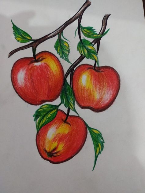 Nature Drawings Simple Sketch With Color, Colour Pencil Drawings Easy Sketches, Colour Pencil Art Easy For Beginners, Color Pencil Sketches Easy, Colour Pencil Drawing Easy, Color Pencil Art For Beginners, Sunflower Drawing Easy, Pencil Art For Beginners, Vegetables Drawing