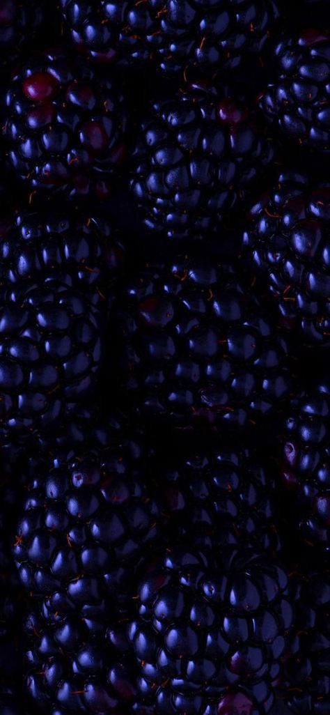 Berries Aesthetic, Berries Photography, Berry Wallpaper, Wallpaper Fruit, Fruits Wallpaper, Berries Wallpaper, Overall Fashion, Lace Sleeve Shirt, Purple Fruit