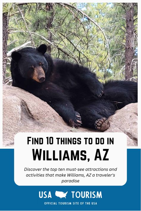 Williams, AZ is a hidden gem nestled in the heart of Northern Arizona's high desert, offering visitors a wide range of activities and attractions to explore. In this article, we've rounded up the top ten things to do in Williams, AZ to help you plan your next adventure in this beautiful town. From historic Route 66 landmarks to scenic outdoor hikes, we've got you covered with the best sights and experiences that Williams has to offer. Williams Arizona Things To Do In, Usa Tourism, Williams Az, Williams Arizona, Summer Thunderstorm, Grand Canyon Railway, North American Wildlife, Historic Route 66, Beautiful Town