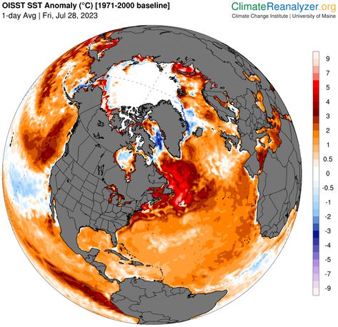 “Marine species are typically three times more sensitive to changes in temperature because they are usually buffered by the heat capacity of water. We are currently "boiling" their environment off the East Coast of Canada and elsewhere. What will be the long-term consequences?” Coral Bleaching, University Of Maine, Change Is Coming, New Scientist, Sea Level Rise, Wind Energy, Oceans Of The World, Black Community, The East