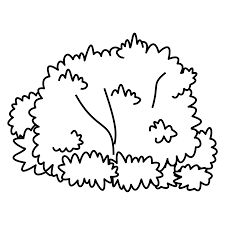 Bushes Clipart, Shrubs Drawing, Bushes Drawing, Bush Drawing, Plants Cartoon, Forest Coloring Pages, Template Drawing, Cartoon Template, Cartoon Tree