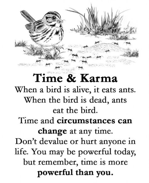 Life Quotes: Time & Karma When a bird is alive, it eats ants. When the bird is dead, ants eat the bird. Time and circumstances can change at any time. Don't devalue or hurt anyone in life. You may be powerful today, but remember, time is more powerful than you. Islamic Medicine, Mummy Papa, Dua Islamic, What Is Islam, Lessons Taught By Life, Value Quotes, Be Powerful, Facts In Hindi, Morning Message