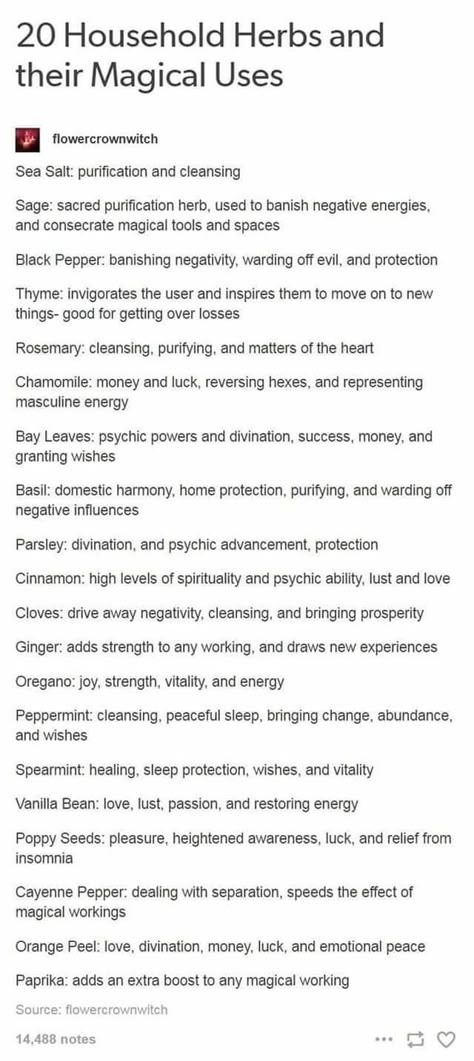 Subtle Witchcraft, Herbs And Meanings, Herb Meanings, Cleansing Sage, Wicca Herbs, Herbs For Protection, Candle Magik, Herbal Witch, Wicca Recipes