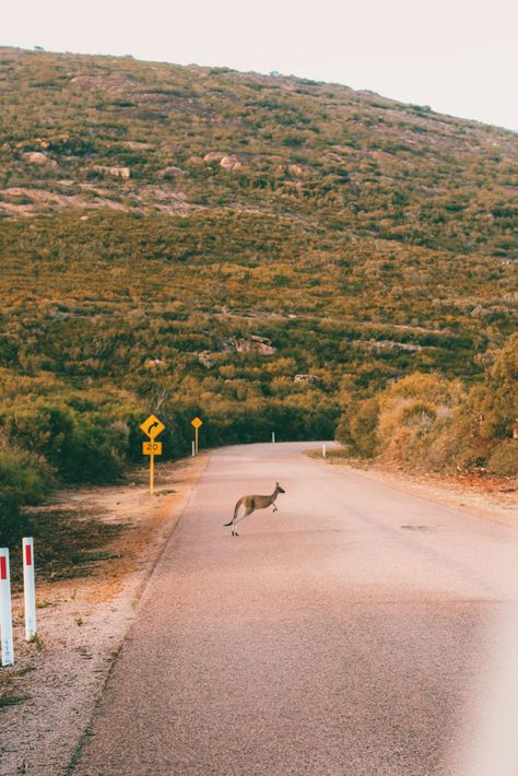 Buying A Business, Hippie Camper, Australia Wallpaper, Wave Rock, Australian Beach, Perth Australia, Dream Holiday, Australia Living, Travel Inspo