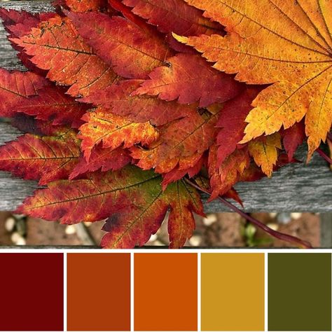 Burnt Orange Color Palette, Boho Wedding Color Schemes, Orange Wedding Color Scheme, Orange Christmas Decor, Orange Wedding Color Palette, Wedding Color Palette Ideas, Boho Wedding Colors, Orange Color Combinations, Orange Color Palette