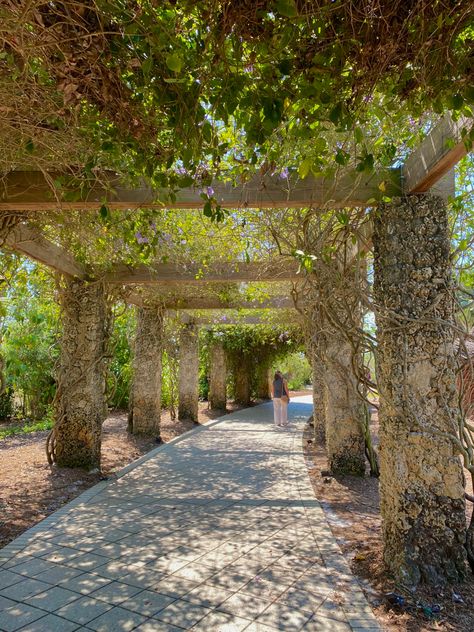 Naples Botanical Garden, Naples Florida Aesthetic, Adios Bahamas, Naples Italy Aesthetic, Botanical Garden Aesthetic, Summer Relationship Goals, Summer Travel Packing List, Naples Aesthetic, Summer In Greece Aesthetic