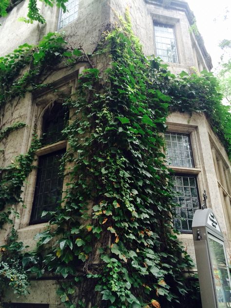 Ivy covered building in Chicago Building Covered In Plants, Ivy Covered House Aesthetic, Moss Covered Building, Ivy On Building, Ivy On House, House Covered In Vines, Ivy Covered House, Entwined Art, Ivy Aesthetic