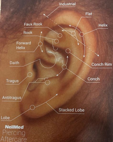 ✨ So many stunning ear piercing options to choose from! 🎉 But remember, it all depends on your unique ear anatomy. Which piercing are you dreaming of? Comment below and let us know! 👇💖 #MasterPierce #EarPiercing #JewelryGoals #piercingshop #pierced #safepiercings #wellington #piercedgirl #piercerlove #bestpiercingshop Ear Piercings Names, Ear Piercing Names, Ear Anatomy, Ear Peircings, Piercing Chart, Piercing Aftercare, Forward Helix, Piercing Shop, Palm Beach Fl