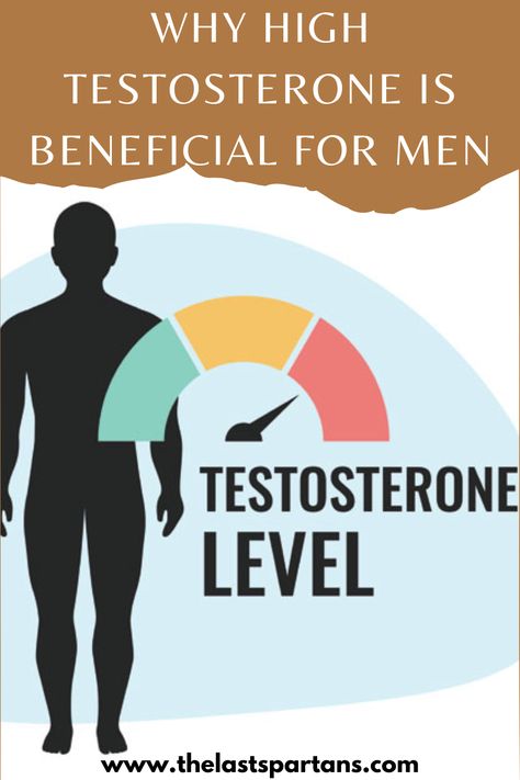 Testosterone is a hormone that plays a vital role in the development and maintenance of male characteristics. It is often associated with muscle growth, strength, and sexual function. Although testosterone is produced in both men and women, men typically have much higher levels of testosterone than women. High testosterone levels have been linked to a variety of benefits for men, including... https://www.thelastspartans.com/post/why-high-testosterone-is-beneficial-for-men Dhea Benefits, Testosterone Pellets, Testosterone Booster Men, Ways To Increase Testosterone, Testosterone Injections, Testosterone Therapy, Prostate Health Men, Libido Boost, High Testosterone