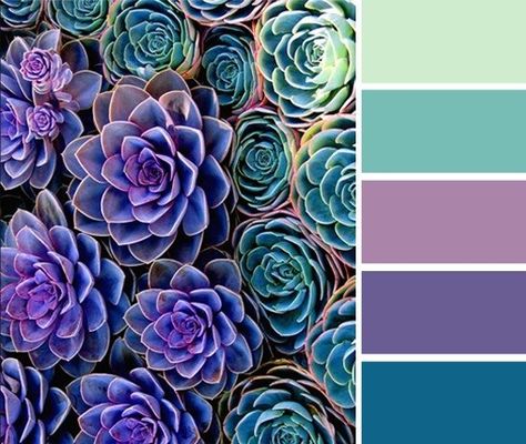 Peacock Color Scheme, Purple Color Combinations, Green Color Scheme, Turquoise Color Palette, Purple Color Palettes, Color Schemes Colour Palettes, Green Colour Palette, Bedroom Color Schemes, Jesse James